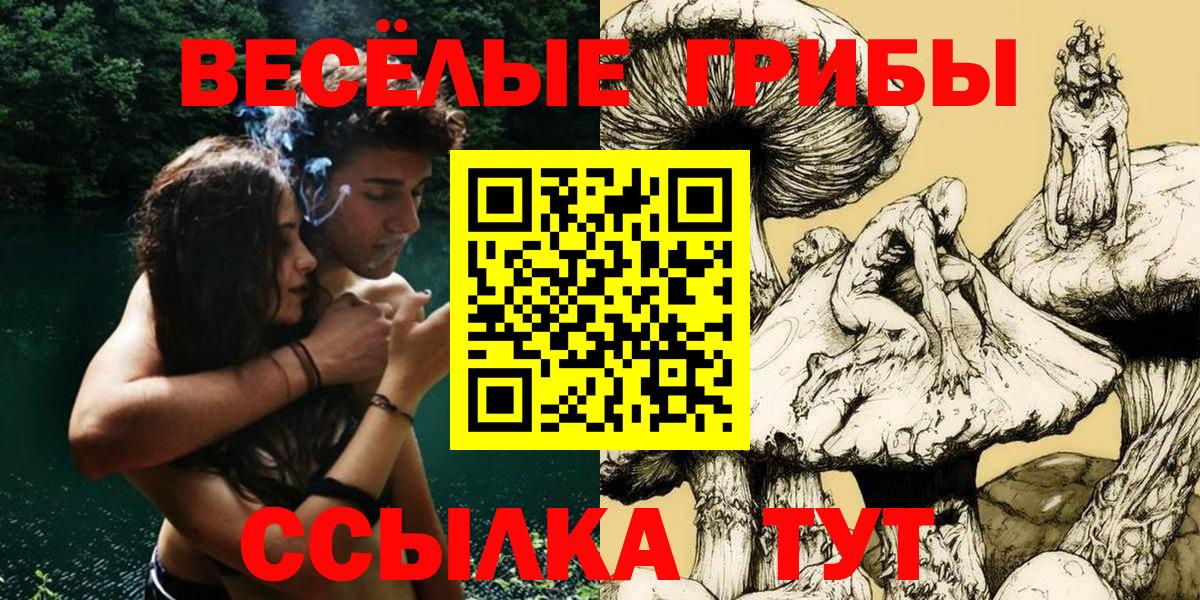 Псилоцибиновые грибы GOLDEN TEACHER  Псилоцибиновые грибы Cubensis  Тверь  Вход с VPN 